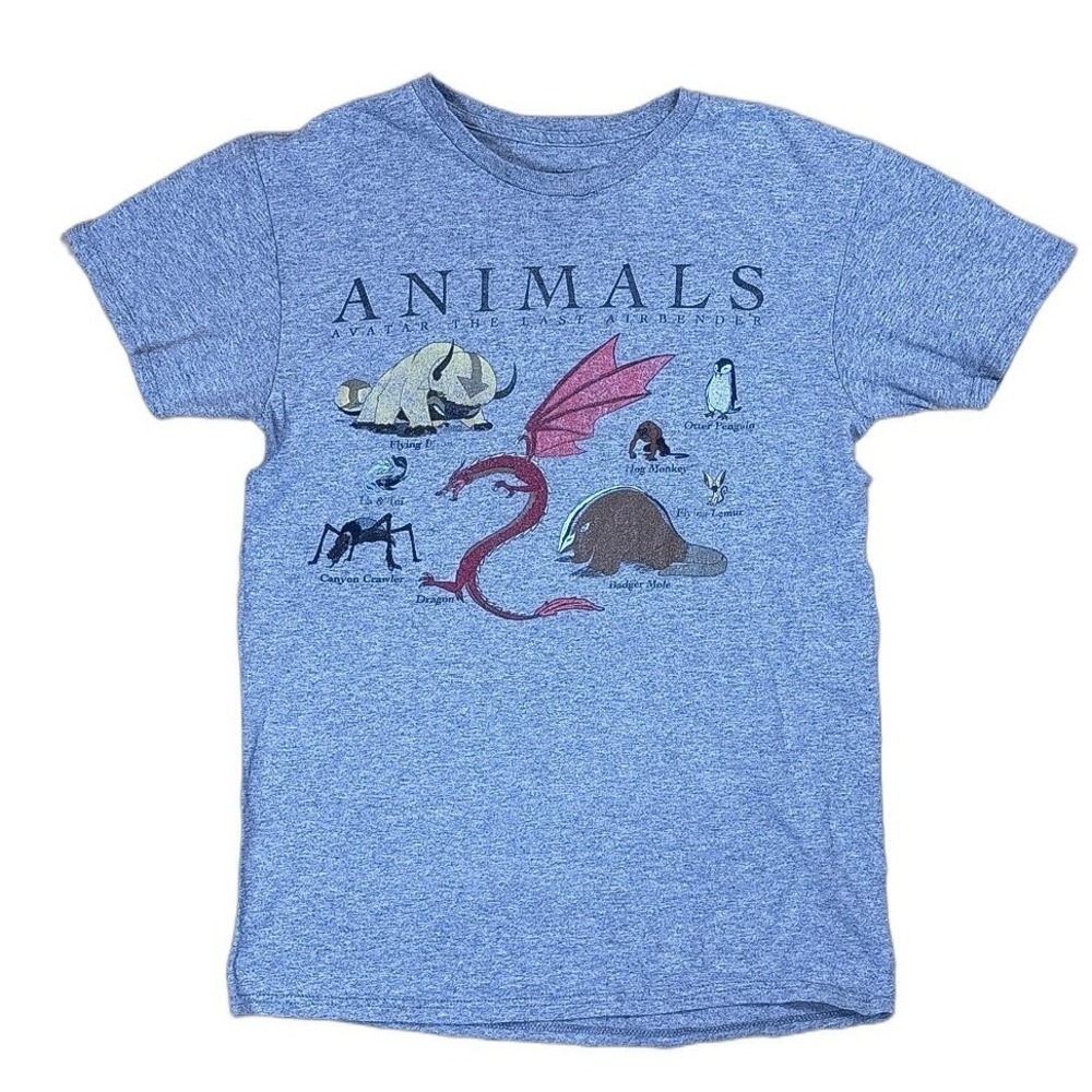 Avatar The Last Airbender Animals Graphic Tee S Blue Fair Distressed Anime